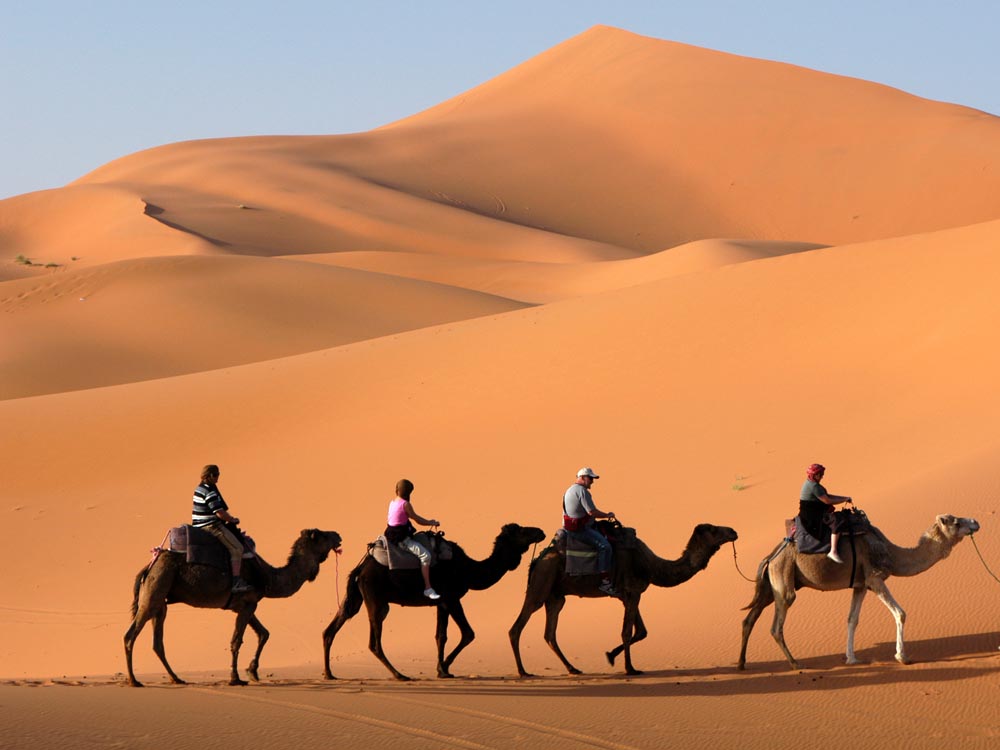 Import-Let's go-Oman-Muscat-Muscat-Wahiba Sands - Oman-54746