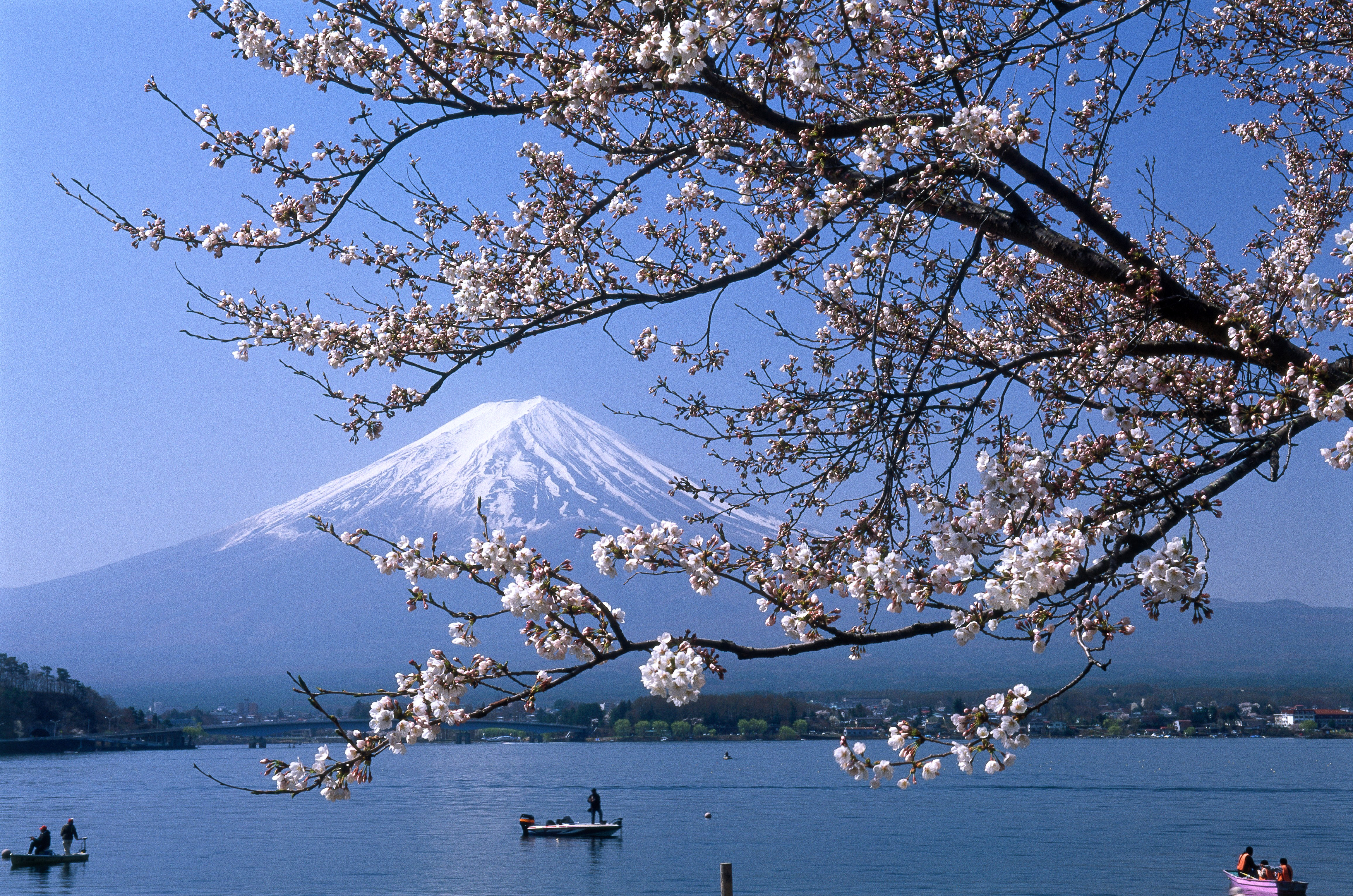 Blick auf den Fuji-san im Fuji-Hakone-Izu-Nationalpark, Honshu, Japan