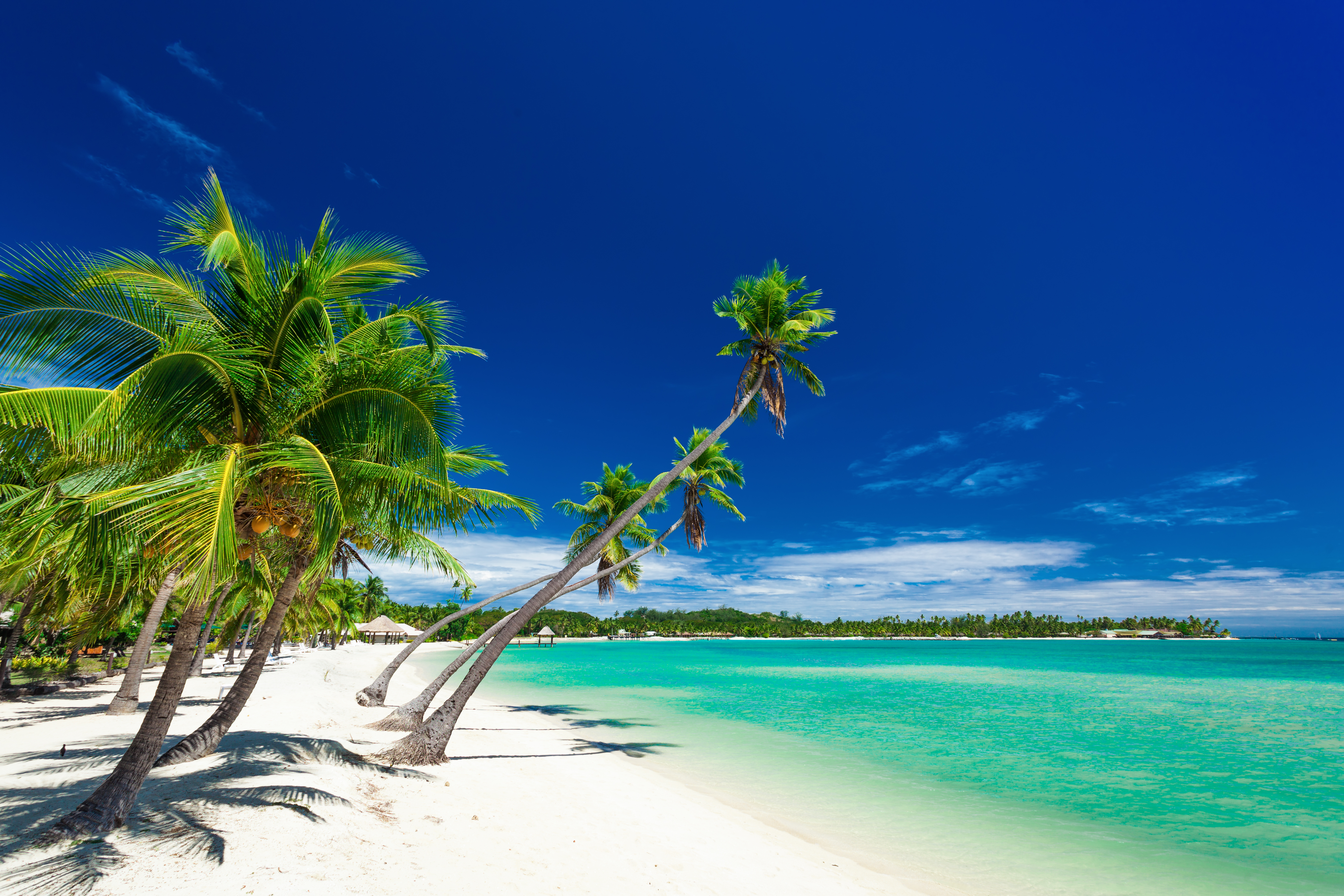 shutterstock_518736127
